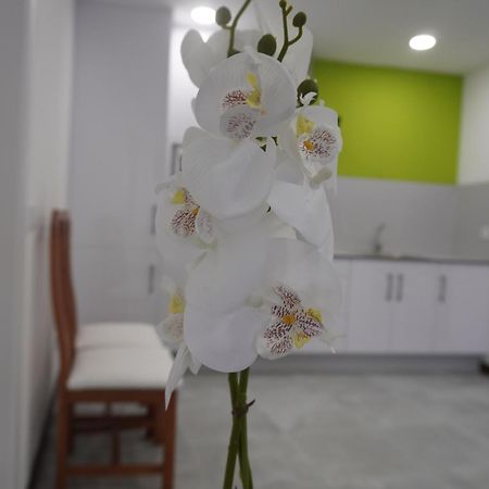 Apartamento Sanin 3 Лумбралес Экстерьер фото