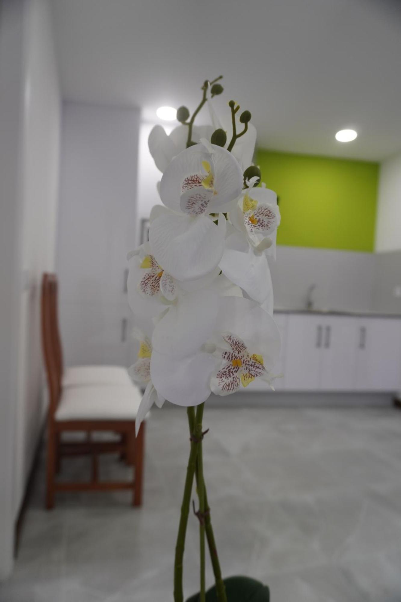 Apartamento Sanin 3 Лумбралес Экстерьер фото